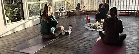 Meditate with Kadi