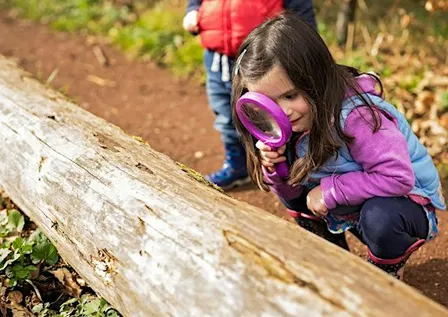 Little Bugs Club at Summer Leys - 24th September