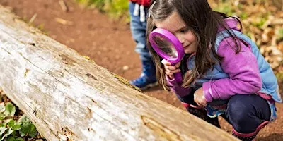 Little Bugs Club at Summer Leys - 17th September