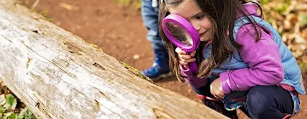 Little Bugs Club at Summer Leys - 17th September