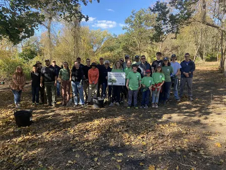 Miantonomi Park Reforestation