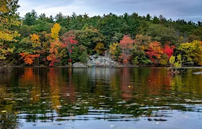 Indigenous People's Day Walk at Long Pond