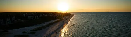 Right Plant in Every Place on the Island @ Sanibel
