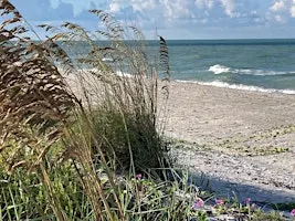 Florida-Friendly Landscaping for Barrier Islands @ Sanibel Library