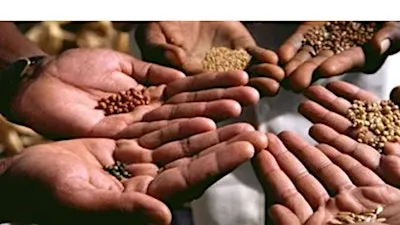 Seed Saving Workshop - Fundamentals of Seed Saving for Self-Sufficiency