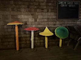A Mushroom Experience Dinner at Indian Ladder Farms with Chef Dave Chaiken