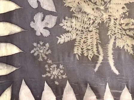 Natural Dyeing: Eco-Printing with Fall Leaves w/ Kelly Lane
