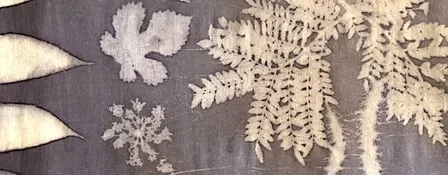 Natural Dyeing: Eco-Printing with Fall Leaves w/ Kelly Lane
