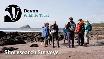 Shoresearch Volunteer Survey
