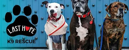 6th Annual Barktoberfest