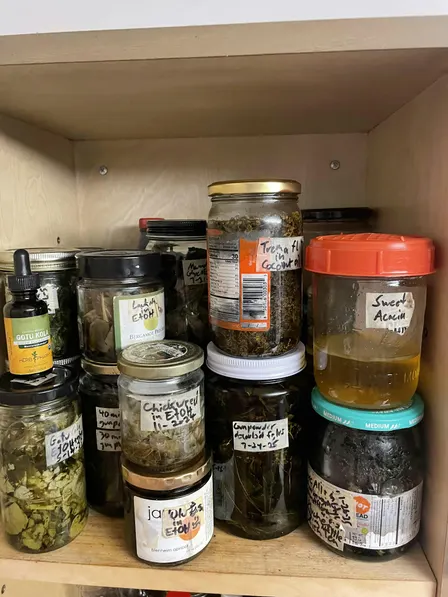 Medicinal Plant Crafting Workshop