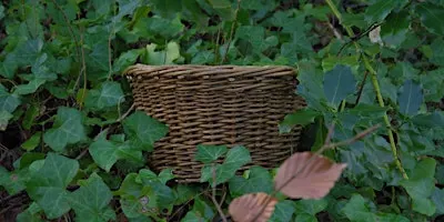 Little Ireland Meitheal ~ Ceardlanna is Comhluadar