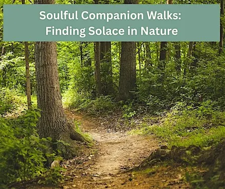 Grief Walks: Finding Solace in Nature