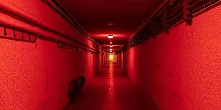 Bervie Brow Bunker Tour: Weekday Evening in September