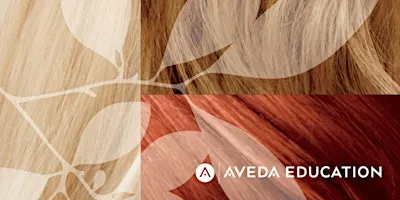 Aveda Systems and Solutions (1 Day Format)