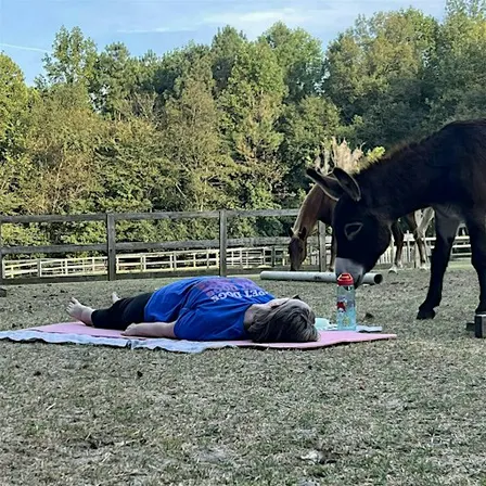Stretching & Meditation with Horses: Wednesdays at 6 PM