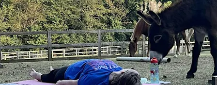 Stretching & Meditation with Horses: Wednesdays at 6 PM
