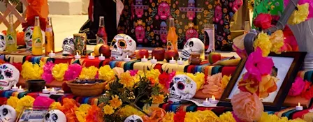 Día De Los Muertos Celebration - An Evening Picnic!