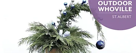 OUTDOOR Whoville Tree | Workshop| Salisbury at Enjoy| St. Albert