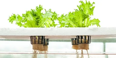 Set it and Forget it Hydroponics Workshop