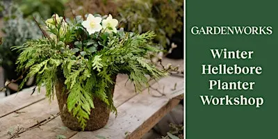 Winter Hellebore Planter Workshop at GARDENWORKS Saanich