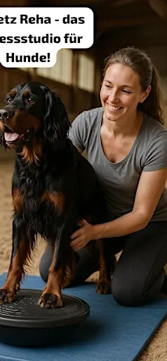 Animore-PhysioFit! Das Fitnessstudio für Hunde