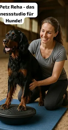 Animore-PhysioFit! Das Fitnessstudio für Hunde