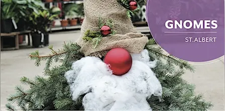 DIY Gnomes | Workshop | Salisbury at Enjoy | St. Albert