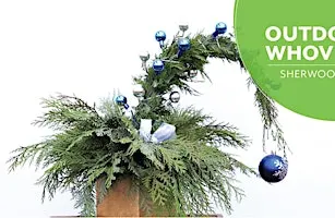 OUTDOOR Whoville Tree | Workshop| Salisbury Greenhouse Bay2 | Sherwood Park