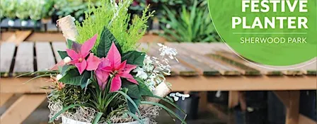 Festive Planter |Workshop | Salisbury Greenhouse Bay2 | Sherwood Park