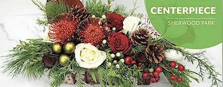 Holiday Centrepiece | Workshop | Salisbury Greenhouse Bay 2| Sherwood Park