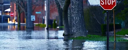 Residential Flood Insurance for the LA Dweller Real Estate Agent CE Class