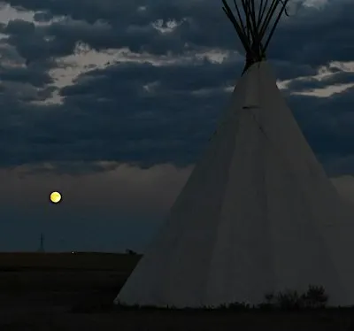 Astronomy Nights: Earth's Moon- Our Glowing Nightlight