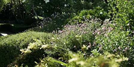 Cottage Gardening with special guest Carol Kerkin