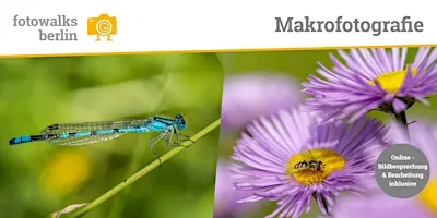 Fotokurs Berlin: Makrofotografie Outdoor am 26.09.2026 + Bildbesprechung