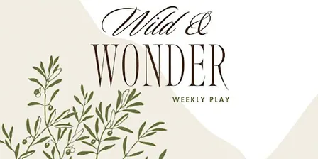 Wild + Wonder play