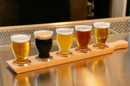Brewing Ideas with UF/IFAS Extension