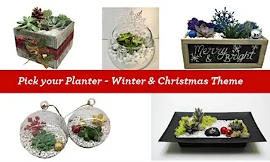Relax Before the Holidays: Build Your Own Succulent Terrarium