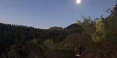 Full Moon Hike - Ambers Gully 27th September