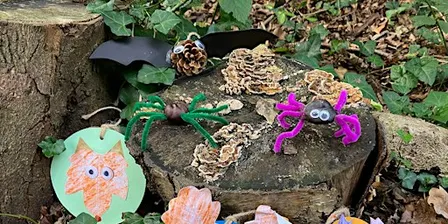 Martineau Gardens Autumnal Halloween Activities 3-10 years 31st Oct 11-1pm