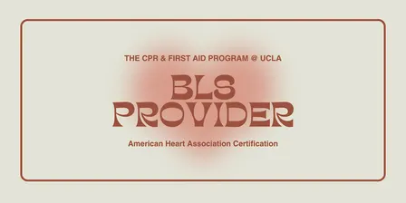 AHA Basic Life Support (BLS) Provider Course