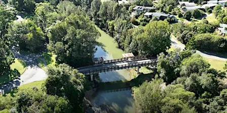NaturallyGC: Currumbin Creek  Tree Planting