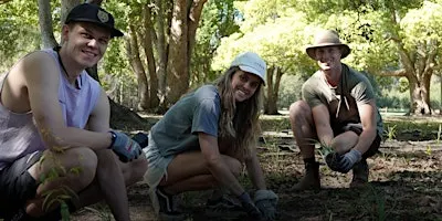 NaturallyGC: Tallebudgera Valley Creek Care - Tree Planting
