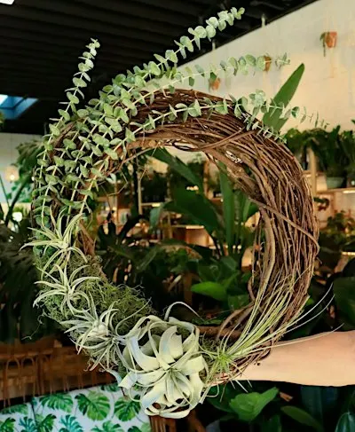 Air Plant Wreath Workshop