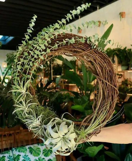 Air Plant Wreath Workshop