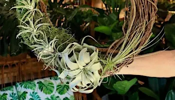 Air Plant Wreath Workshop