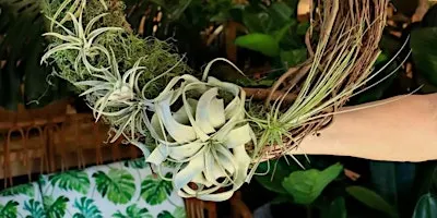 Air Plant Wreath Workshop