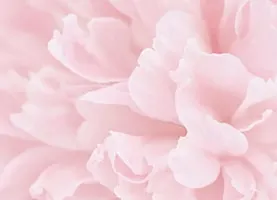 WhereWomenComeToPray