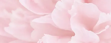 WhereWomenComeToPray