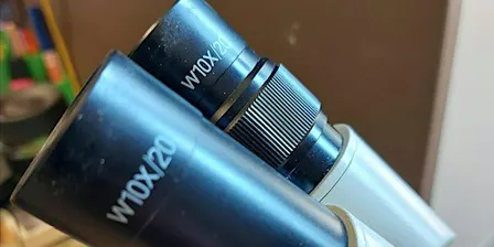 NEW DATE:Microscopes: Choosing & using for natural history - Brian Eversham